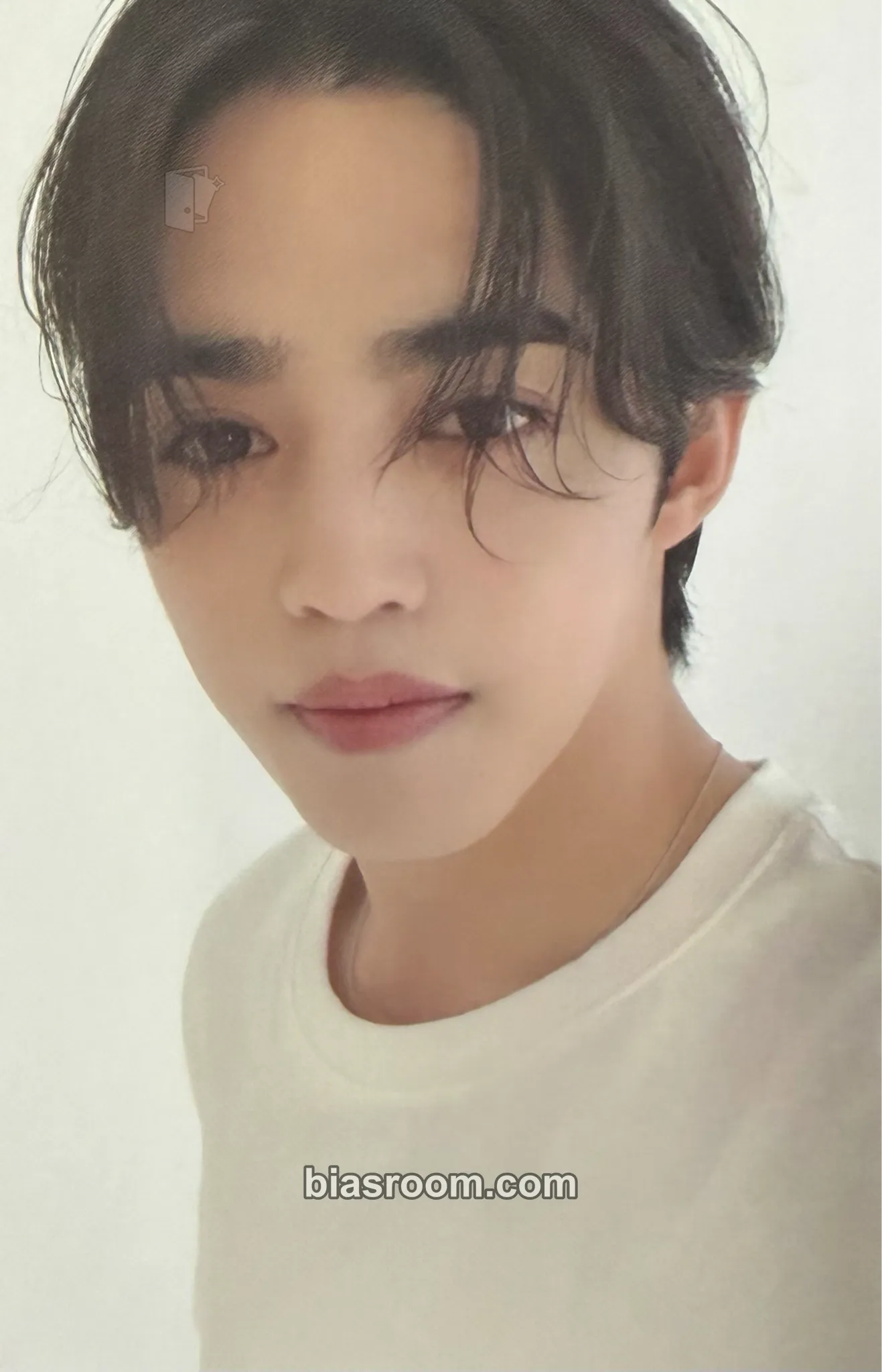 S.Coups 'TOGETHER' 6TH Anniversary Merch Photocard - SEVENTEEN - SEVENTEEN K-pop photocard