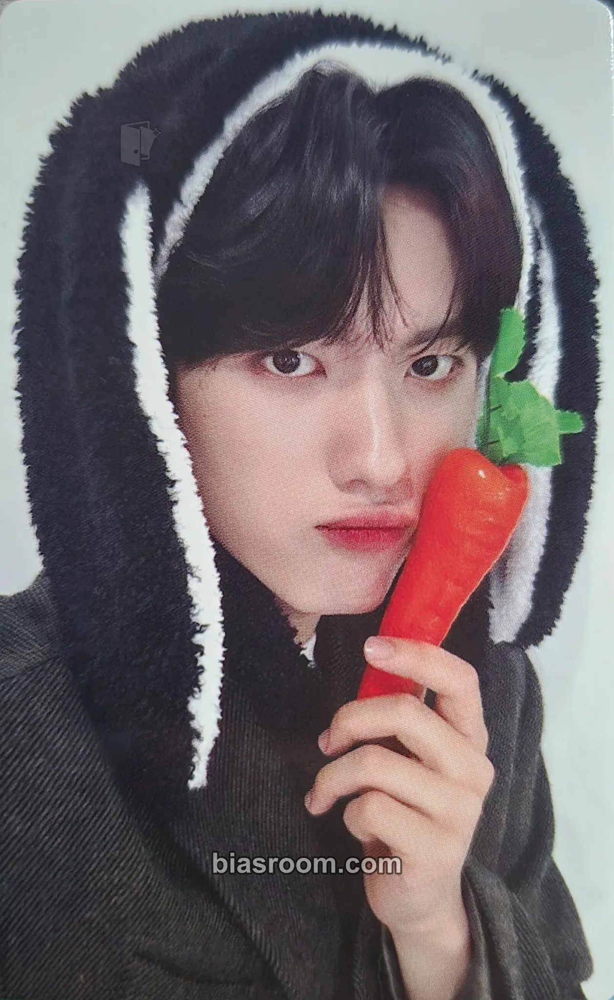 Hankook Chameleon Photocard - TRENDZ - TRENDZ K-pop photocard