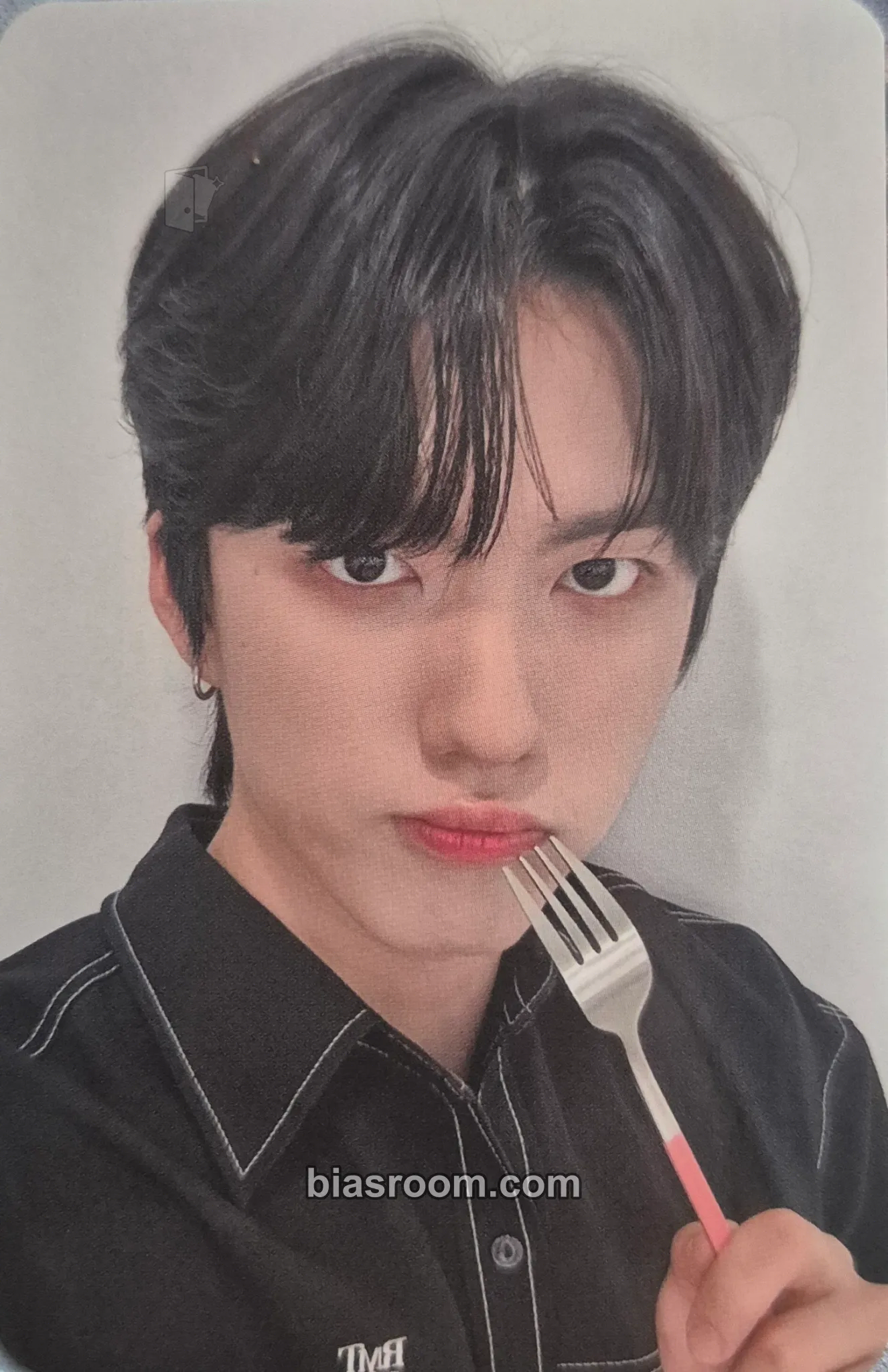 Hankook Chameleon Photocard - TRENDZ - TRENDZ K-pop photocard