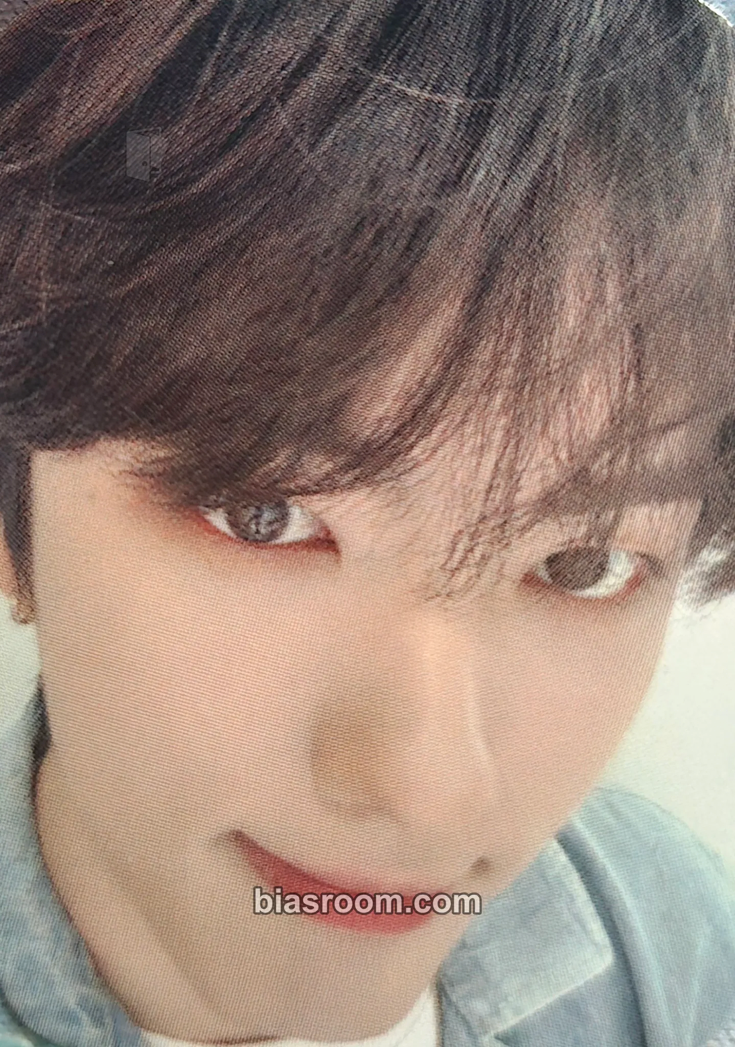 Hankook Chameleon Photocard - TRENDZ - TRENDZ K-pop photocard