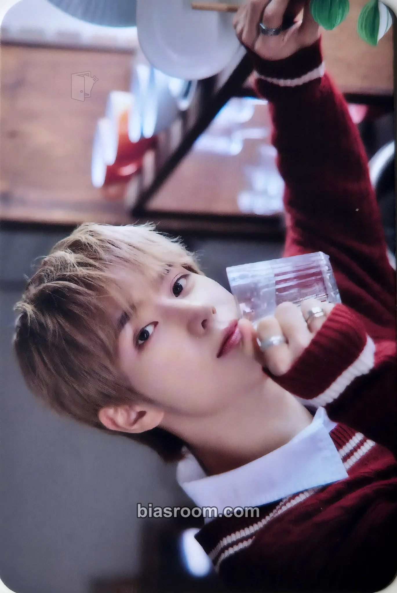 Jinsik Xikers “Winter House” winter merch MD Photocard - xikers - xikers K-pop photocard