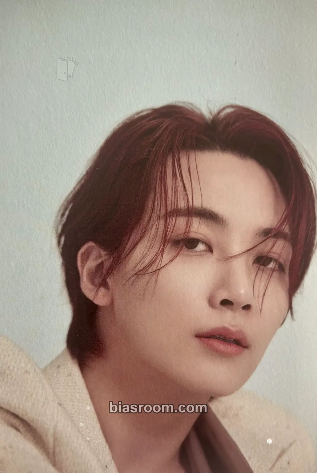 Jeonghan Your Choice Photocard - SEVENTEEN - SEVENTEEN K-pop photocard