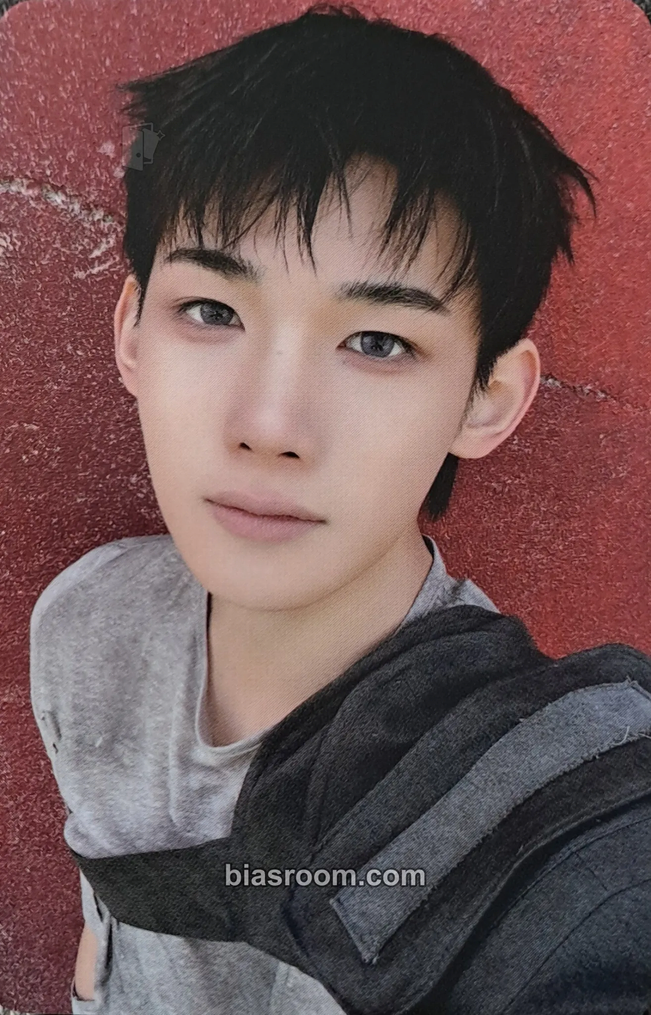 Jo Photocards (&TEAM) | Bias Room