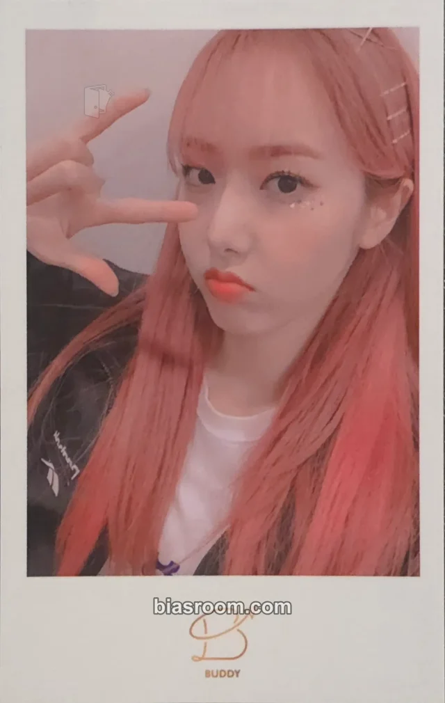 GFRIEND - SinB - GLOBAL BUDDY MEMBERSHIP - Trip Together Other polaroid set fanclub/membership kit inclusion