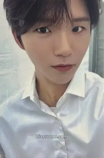 Jaehee Songbird Photocard - NCT WISH - NCT WISH K-pop photocard