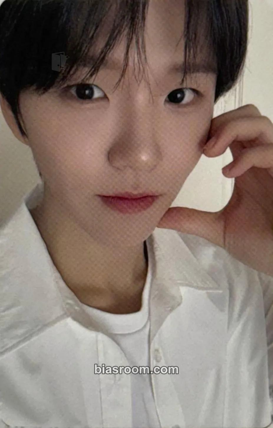 Jaehee Songbird Photocard - NCT WISH - NCT WISH K-pop photocard