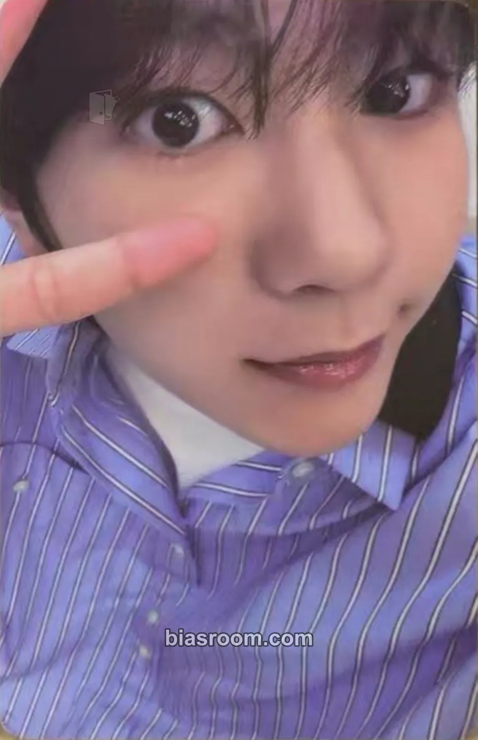 Ryo Songbird Photocard - NCT WISH - NCT WISH K-pop photocard
