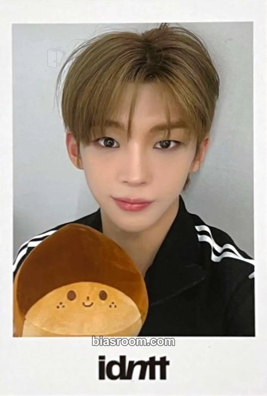 Kim Dohun unevermet Photocard - idntt - idntt K-pop photocard