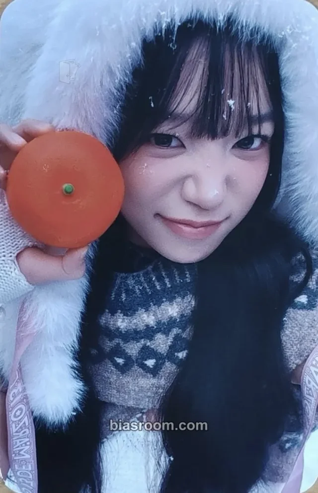 Jo Yuri - Jo Yuri - SEASON’S GREETINGS 2026 - 365 Days with YO(U)RI Other aladin pob (pre-order benefit)