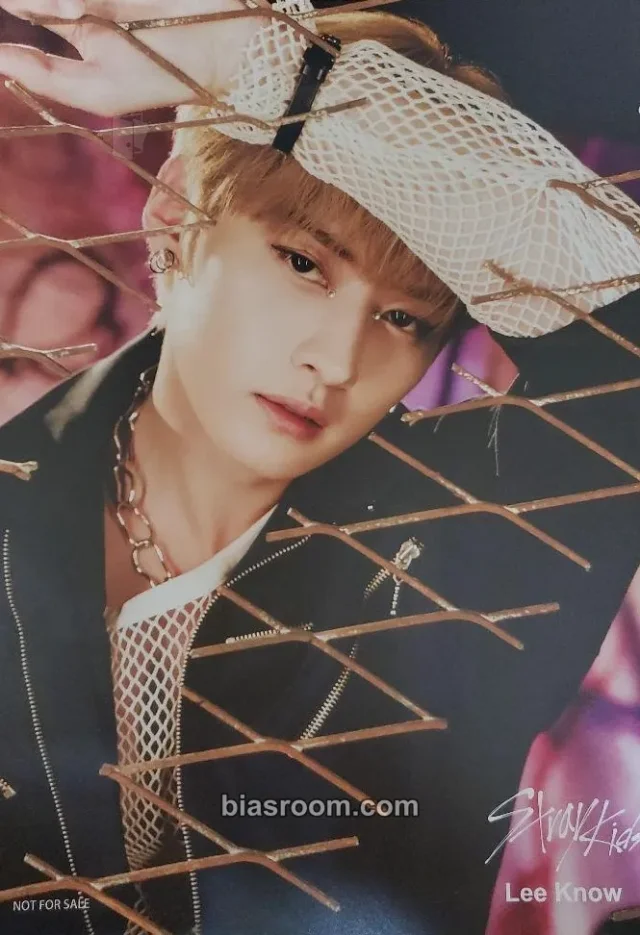 Stray Kids - Lee Know - Scars Album flyer purchase benefit shibuya supplemental tower records japan