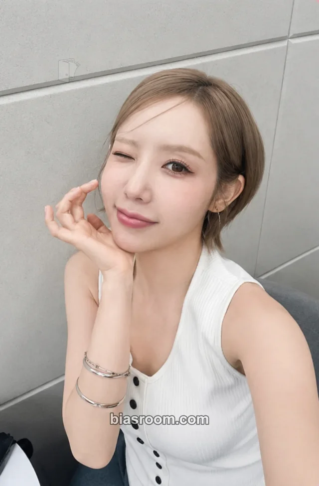 Secret - Zinger (Formerly Hana) - Secret Flavour Album snapism limited press