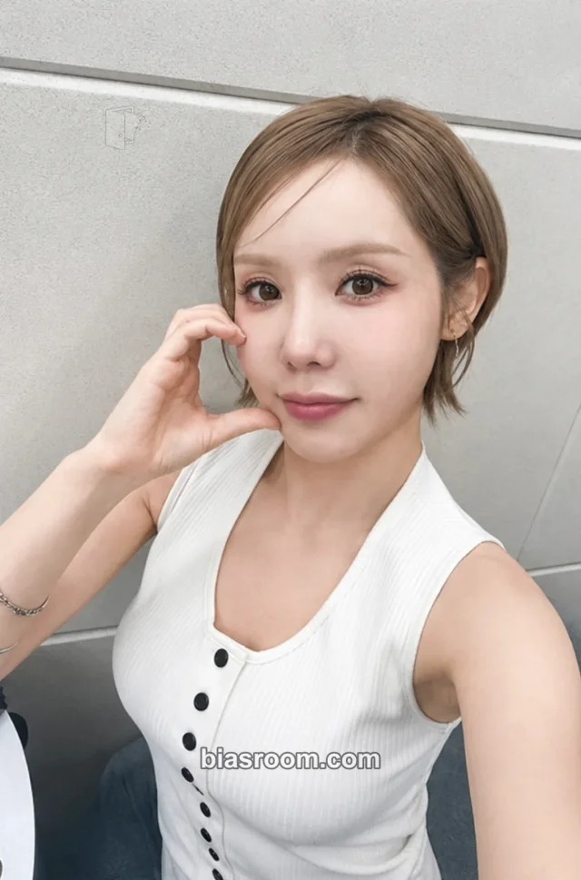 Secret - Zinger (Formerly Hana) - Secret Flavour Album snapism limited press