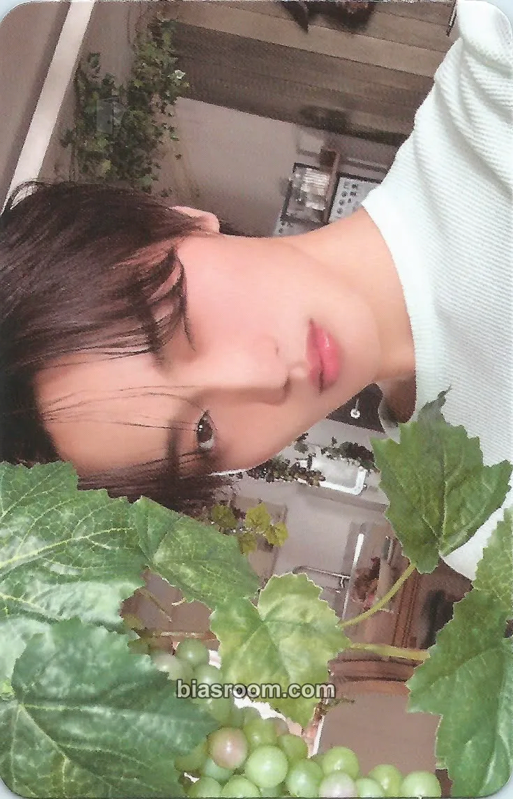 Taeyoung Dare to Crave Photocard - CRAVITY - CRAVITY K-pop photocard