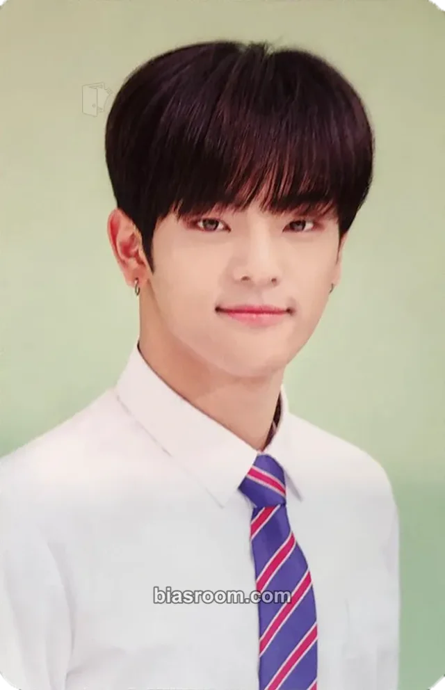 Stray Kids - Woojin - Hi-STAY Tour in Korea Event merch photocard random pack