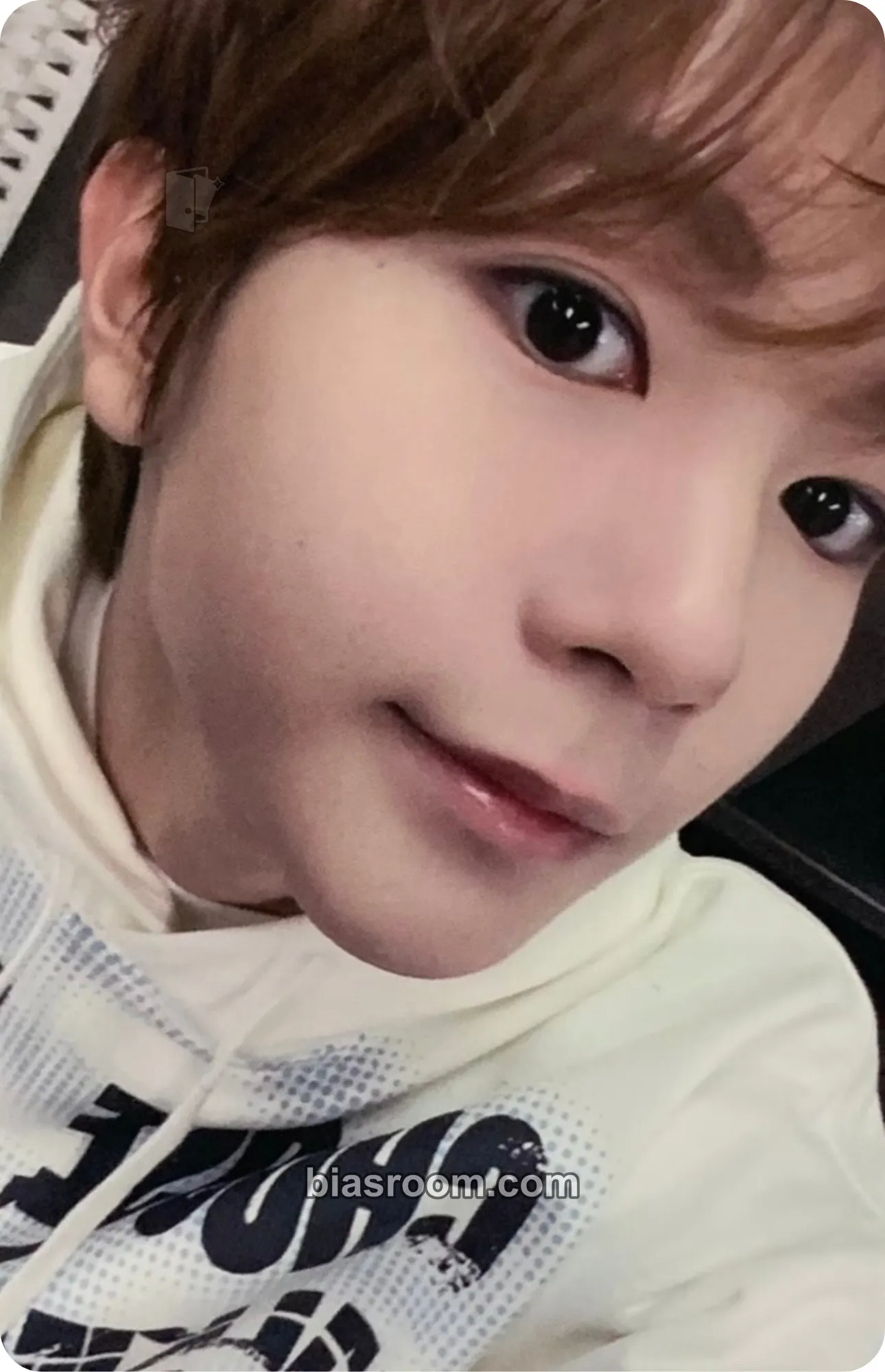 Ryo Steady Photocard - NCT WISH - NCT WISH K-pop photocard