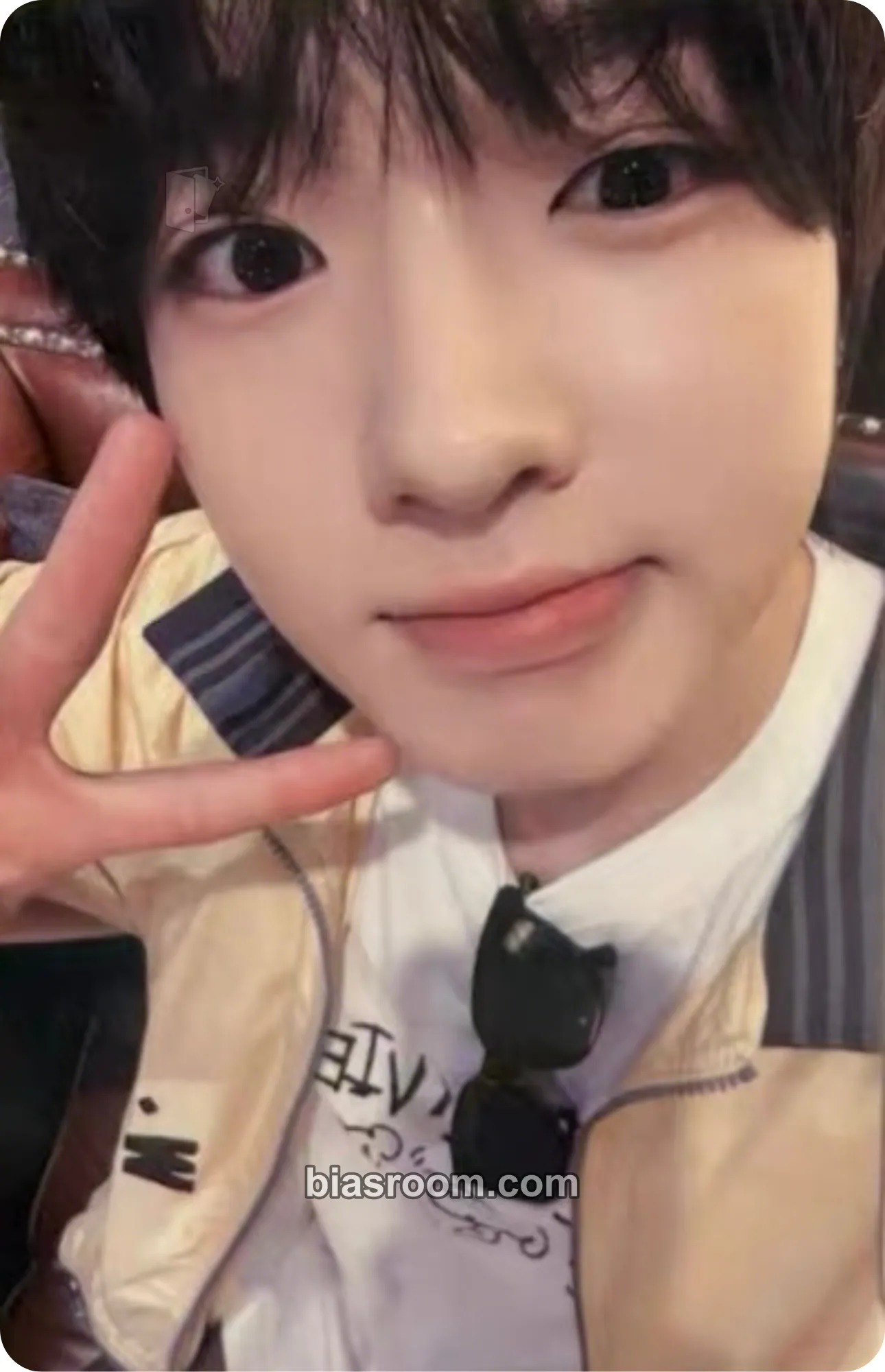 Sakuya Steady Photocard - NCT WISH - NCT WISH K-pop photocard