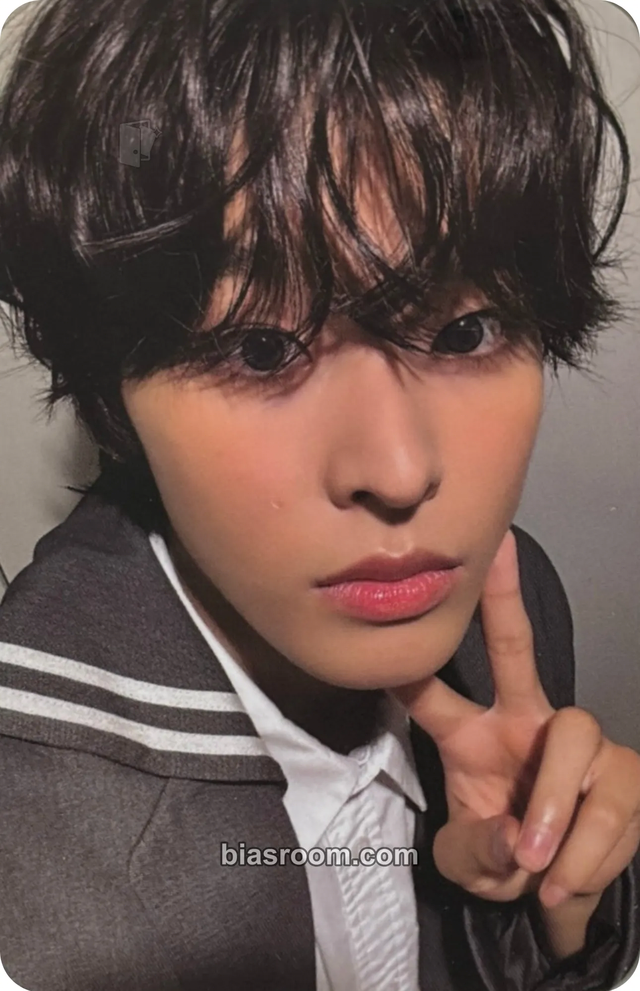 Riku Steady Photocard - NCT WISH - NCT WISH K-pop photocard