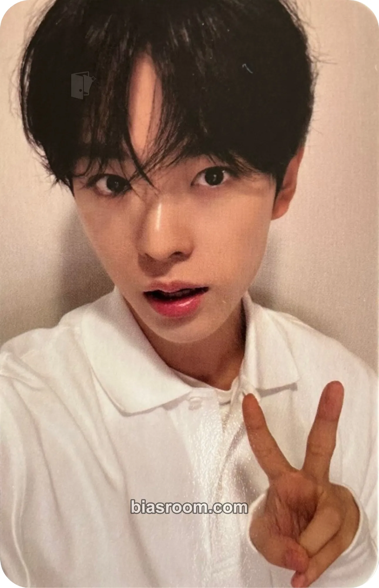 Yushi Steady Photocard - NCT WISH - NCT WISH K-pop photocard