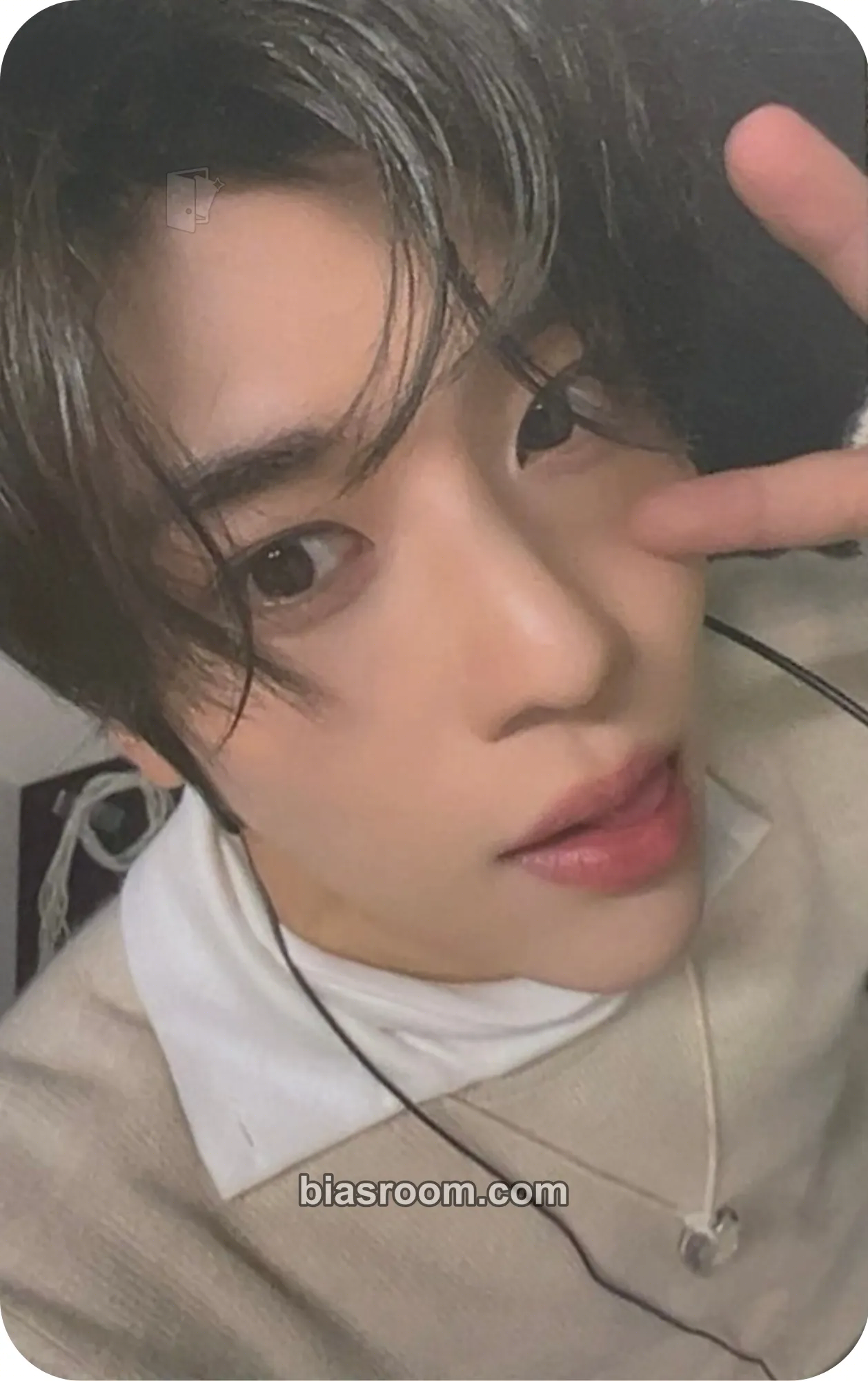 Sion Steady Photocard - NCT WISH - NCT WISH K-pop photocard