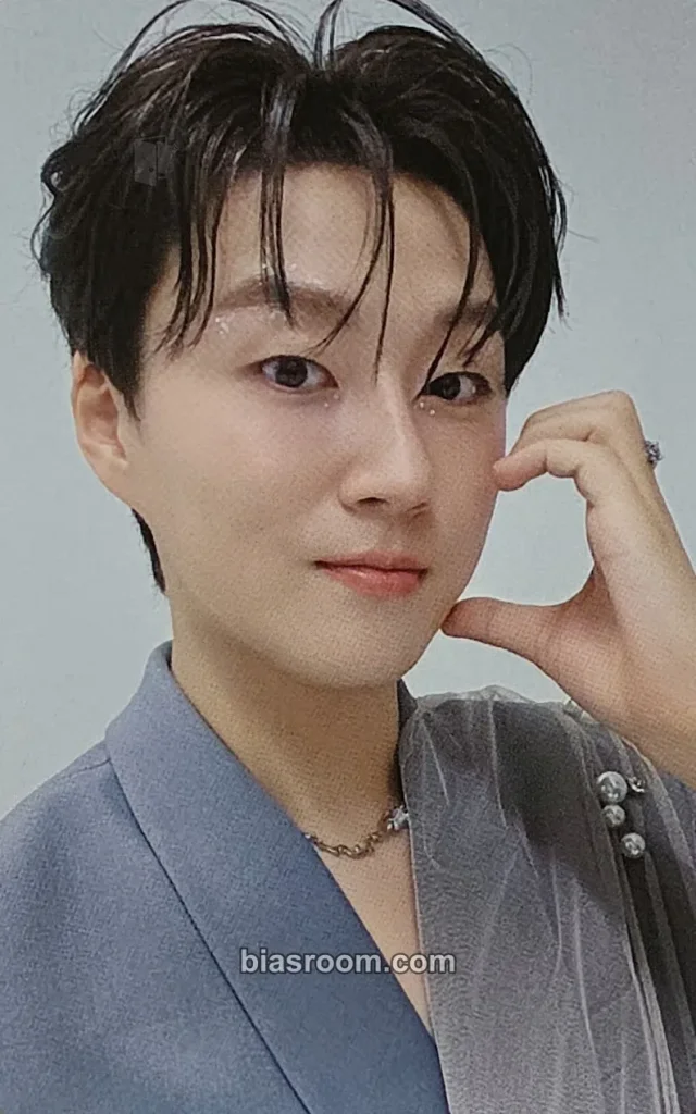 Forestella - Mingyu - Everything Album album photocard photocard set