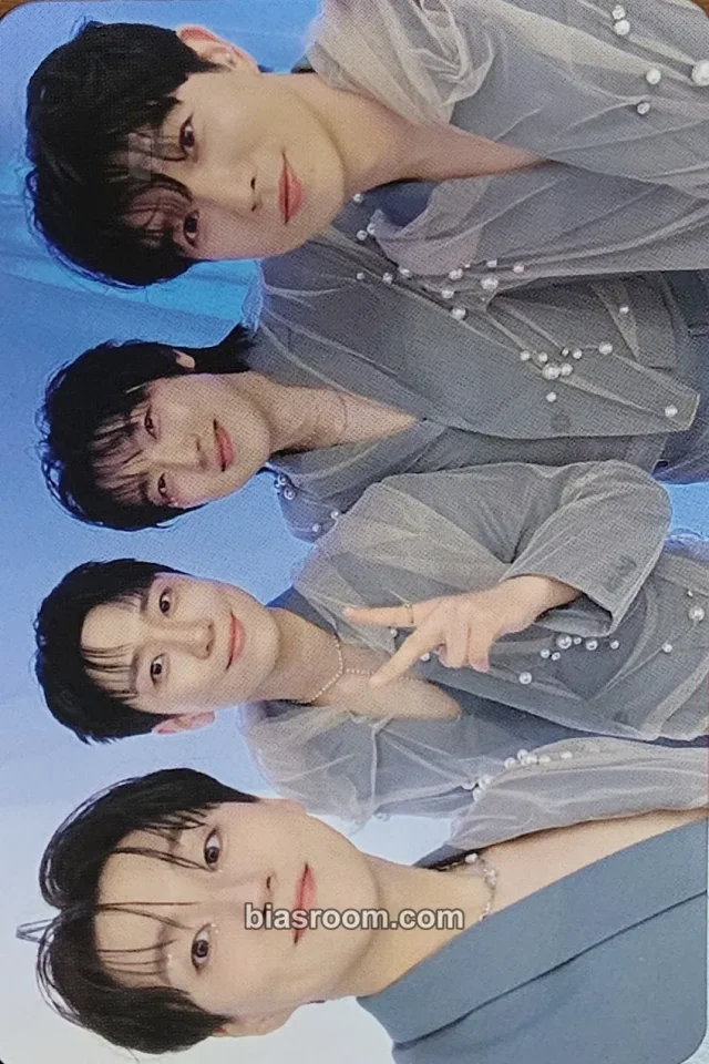 Forestella - Everything Album album photocard photocard set