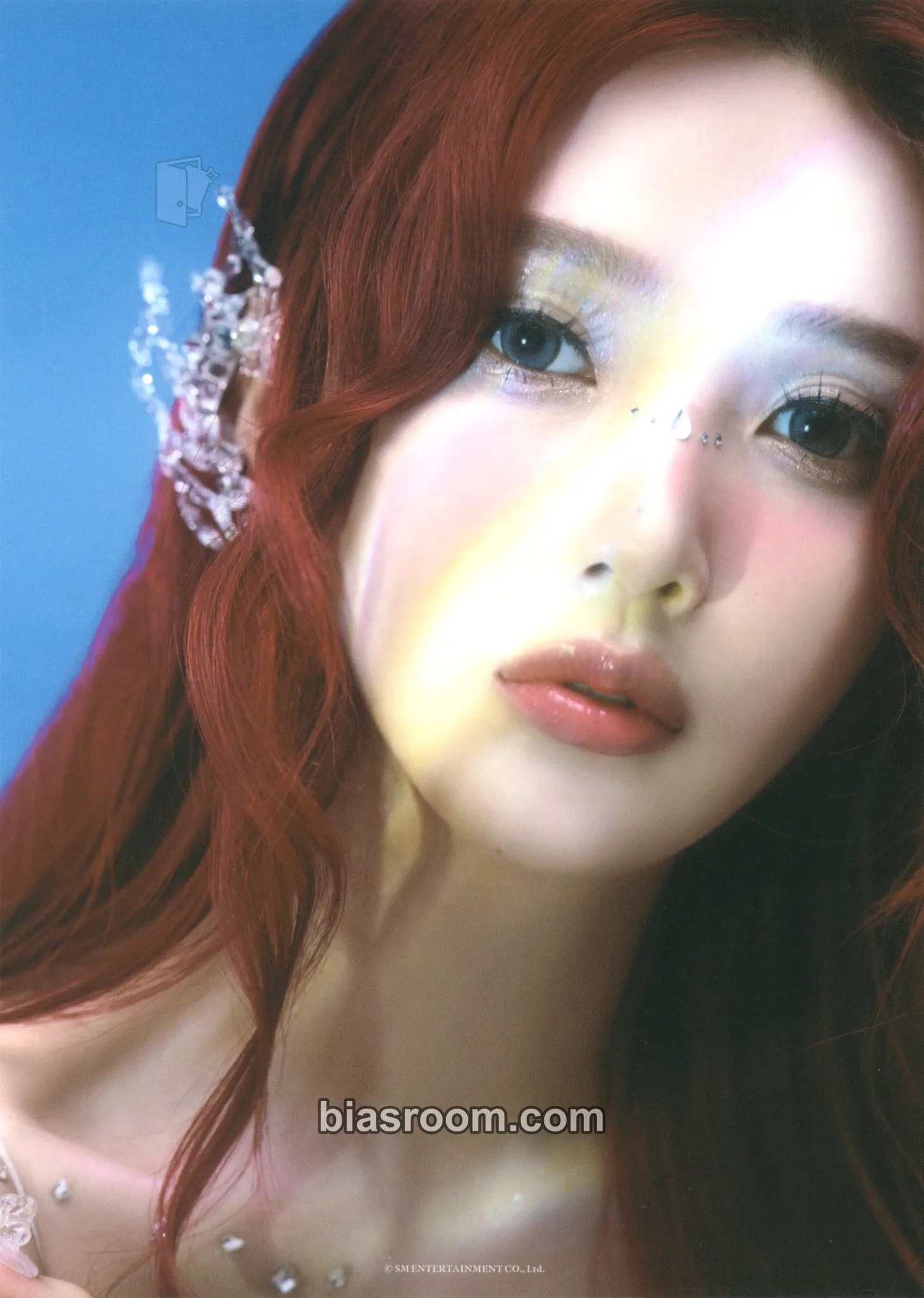 Joy 2025 Season's Greeting Photocard - Red Velvet - Red Velvet K-pop photocard