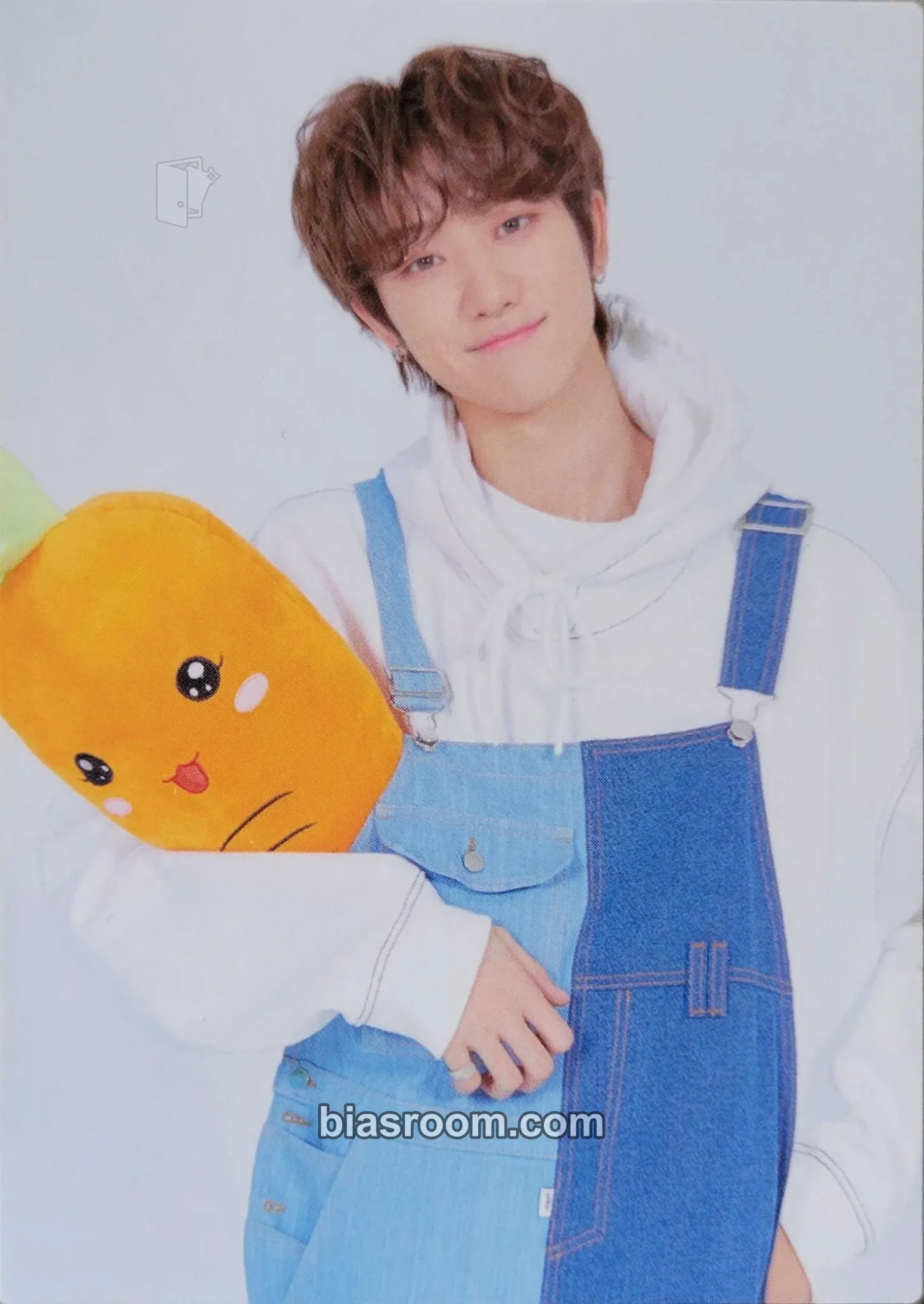 The8 [HARU] TOUR Photocard - SEVENTEEN | Bias Room