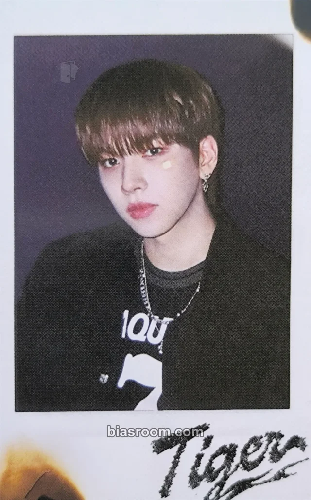 n.SSign - Hanjun - Tiger Album nemo version album photocard polaroid tiger version