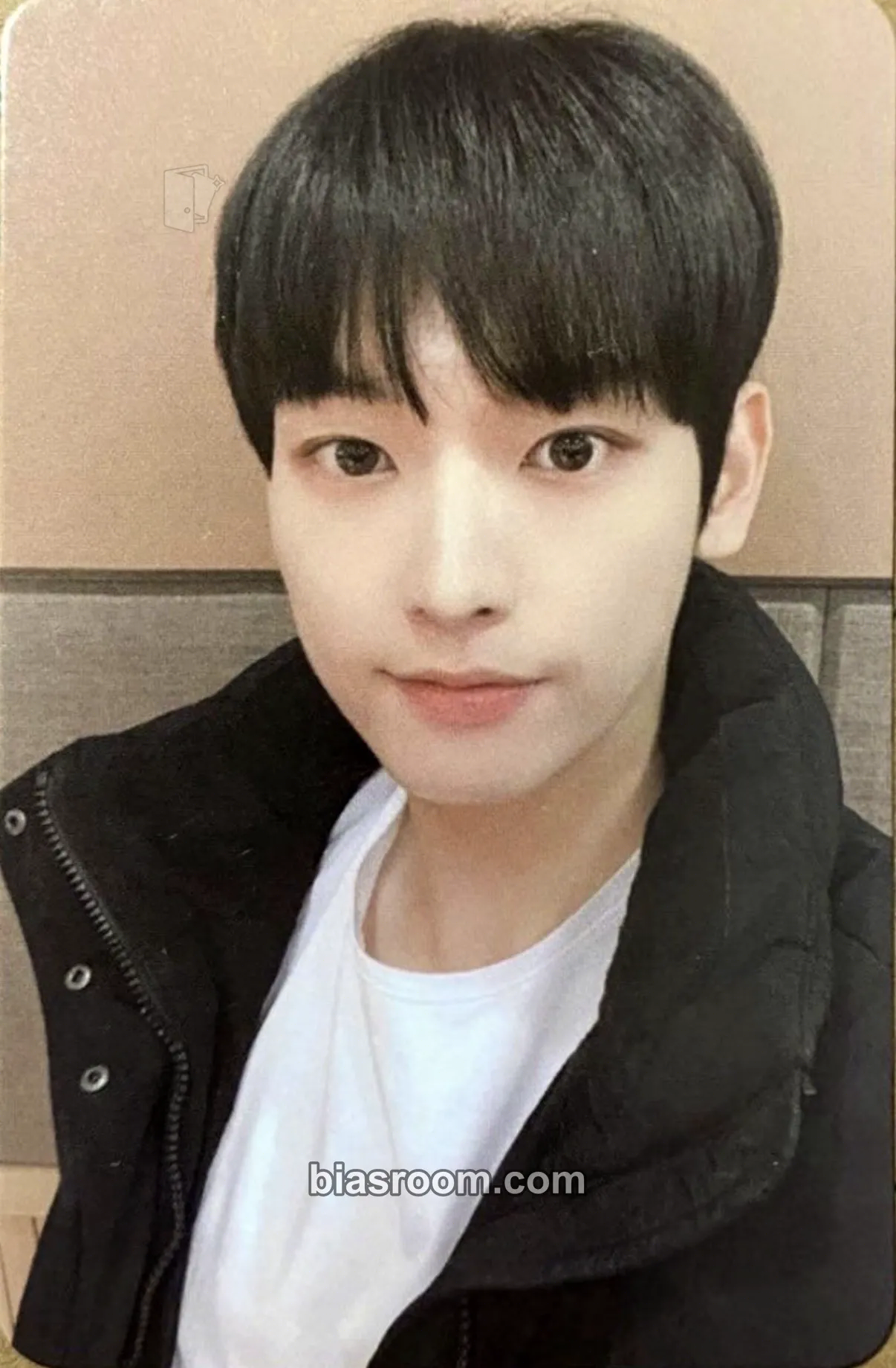 Inseong Special History Book Photocard - SF9 - SF9 K-pop photocard