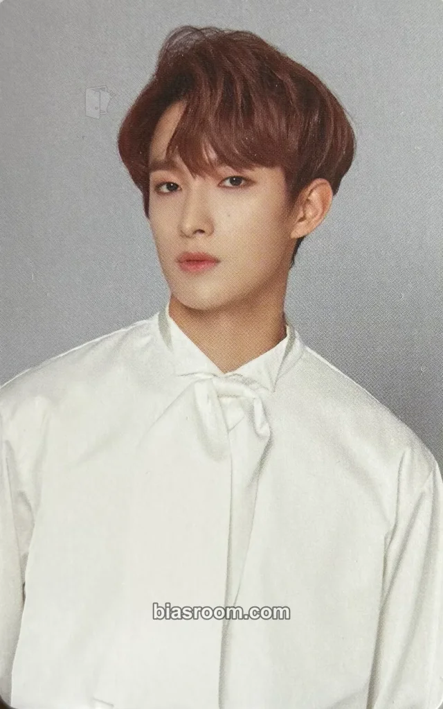 SEVENTEEN - DK - 2018 2ND SEVENTEEN IN CARAT LAND Event merch photocard trading card B version fan meeting