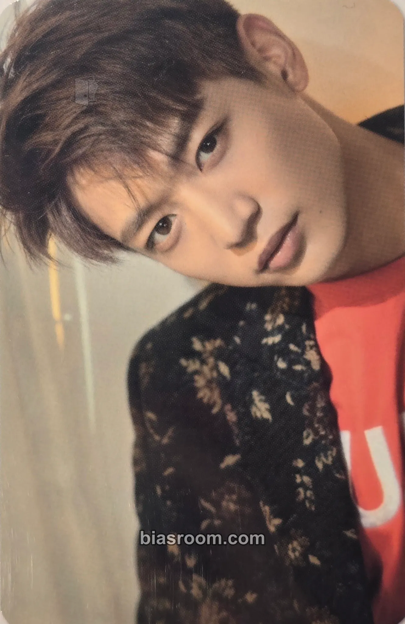 Minho SHINee Anniversary Merch Photocard - SHINee - SHINee K-pop photocard