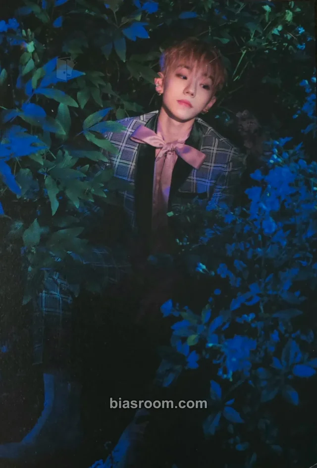 E’LAST - Wonjun - Day Dream Album album inclusion postcard dream version