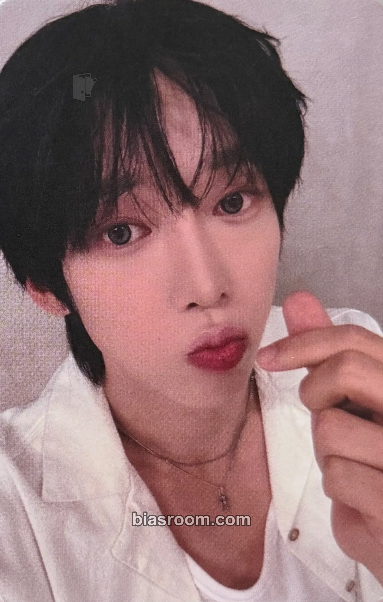 Kamden WILD & FREE Photocard - AMPERS&ONE - AMPERS&ONE K-pop photocard