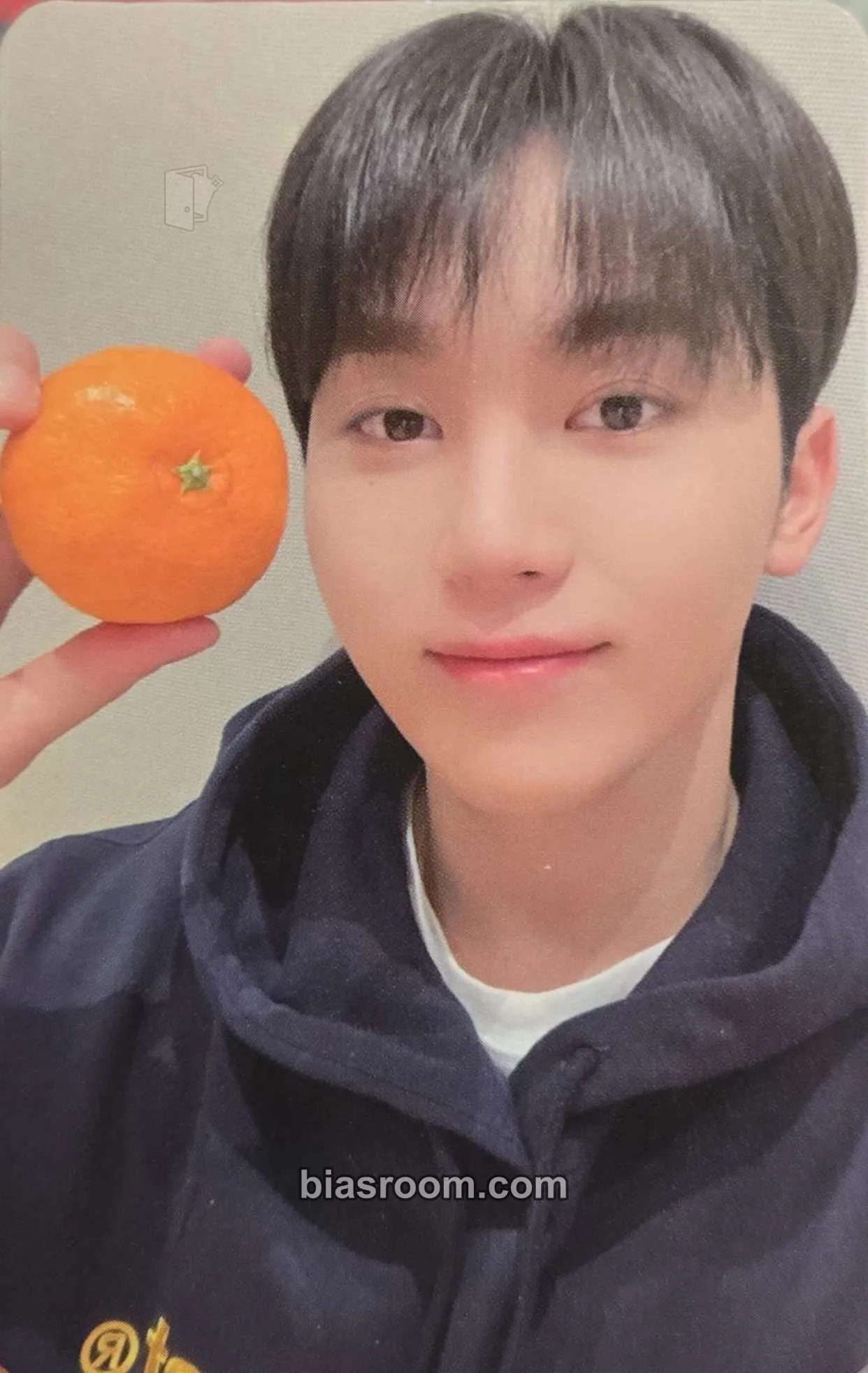 Seungkwan SECTOR 17 Photocard - SEVENTEEN - SEVENTEEN K-pop photocard
