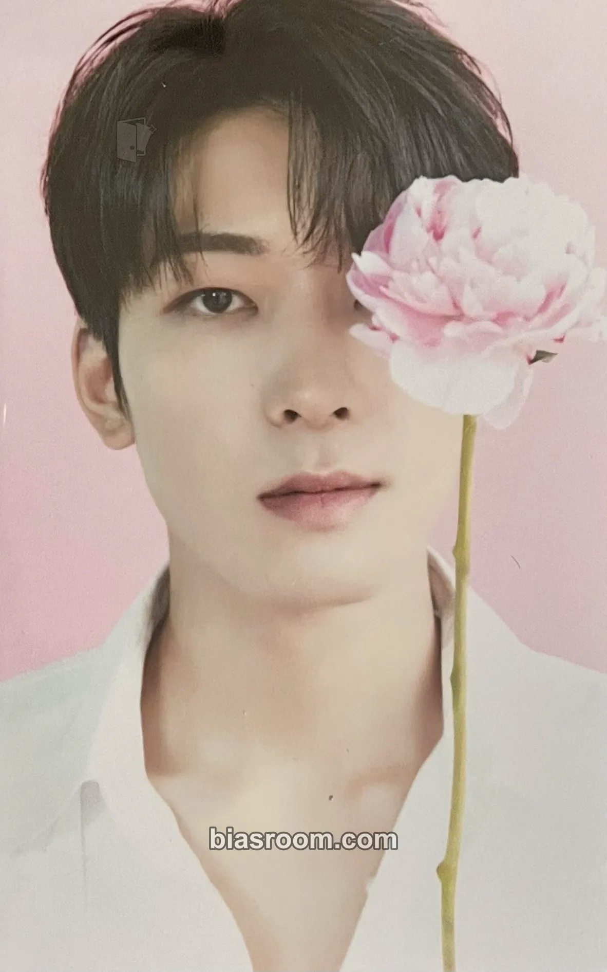 Wonwoo SEVENTEEN CAFE IN SEOUL Photocard - SEVENTEEN - SEVENTEEN K-pop photocard
