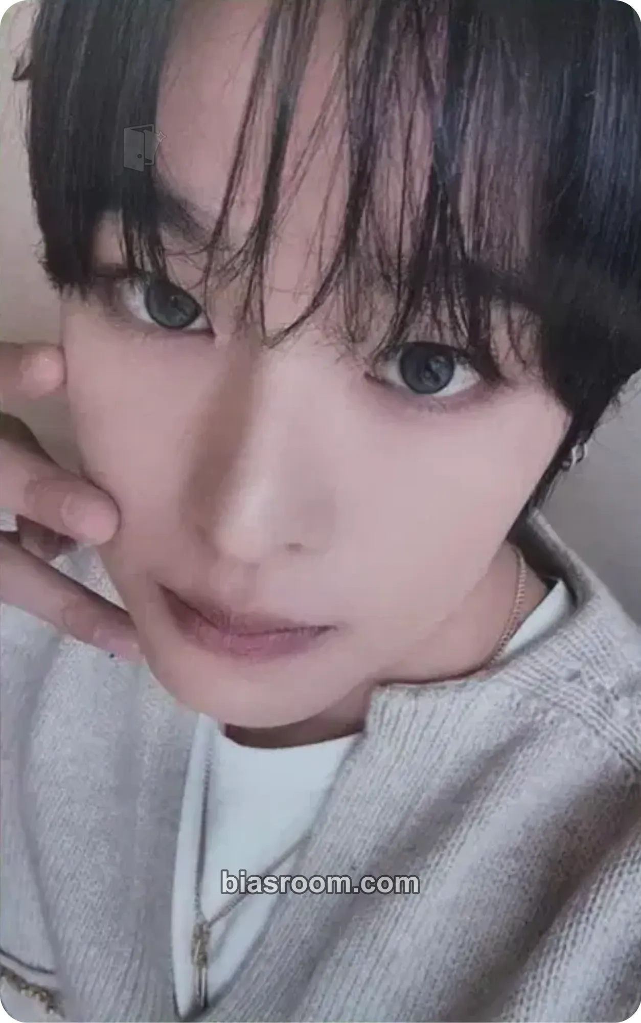 Riku COLOR Photocard - NCT WISH - NCT WISH K-pop photocard