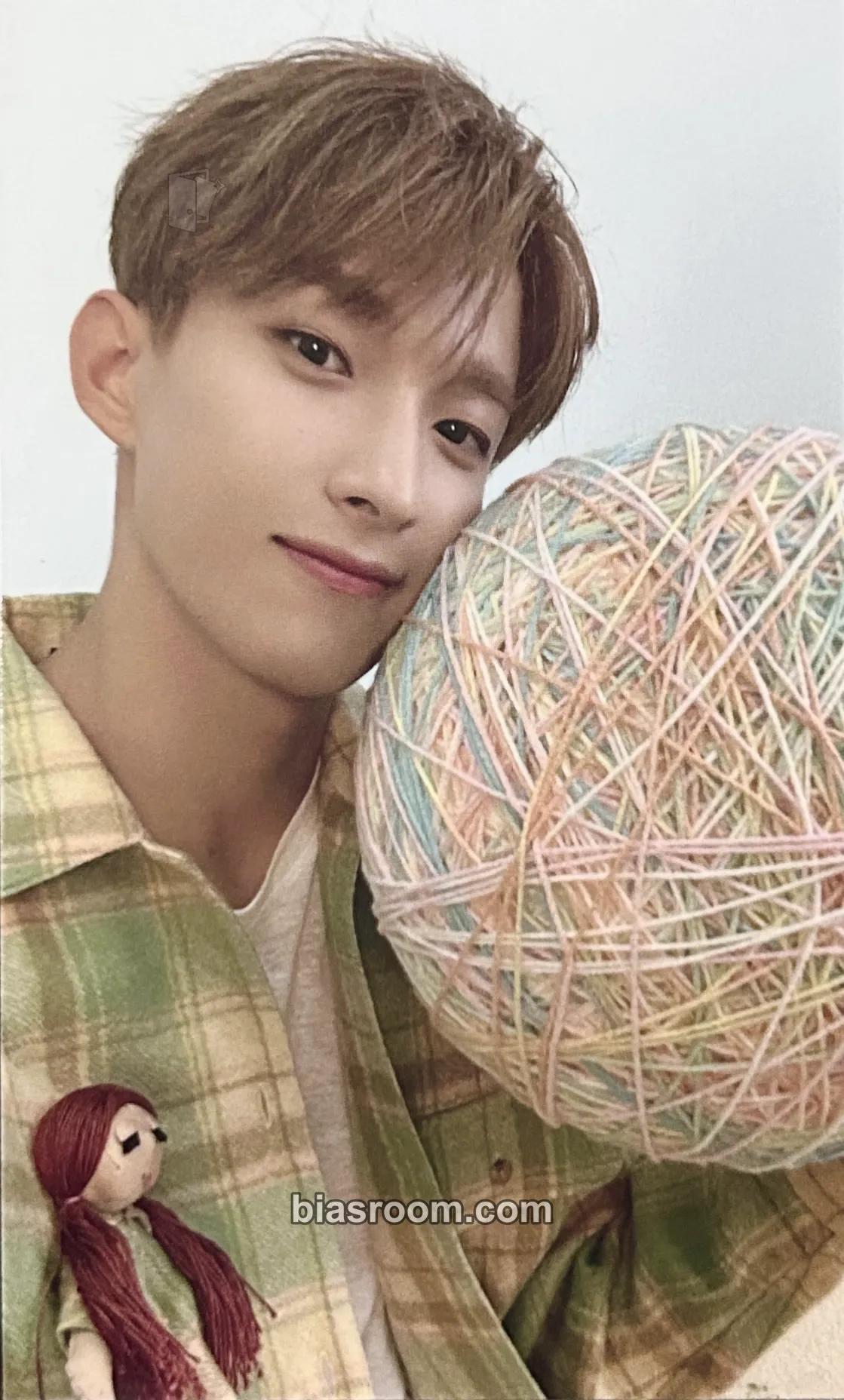 DK Power of Love Photocard - SEVENTEEN - SEVENTEEN K-pop photocard