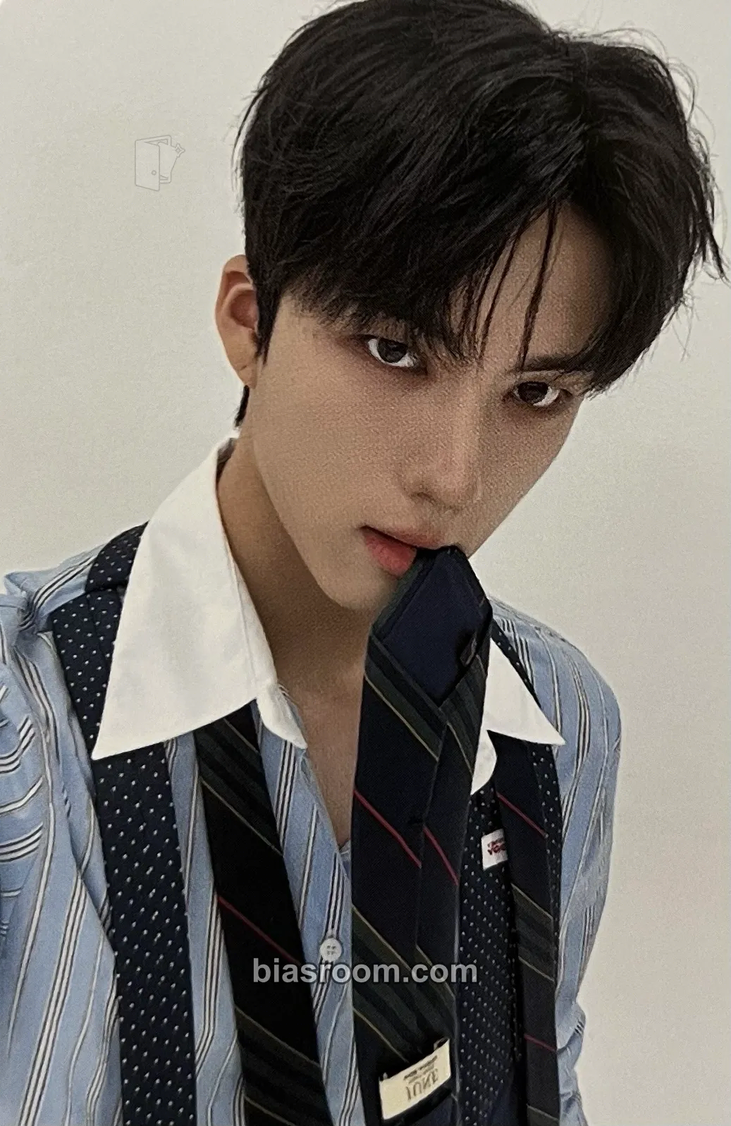 Hankook On My Knees Photocard - TRENDZ - TRENDZ K-pop photocard