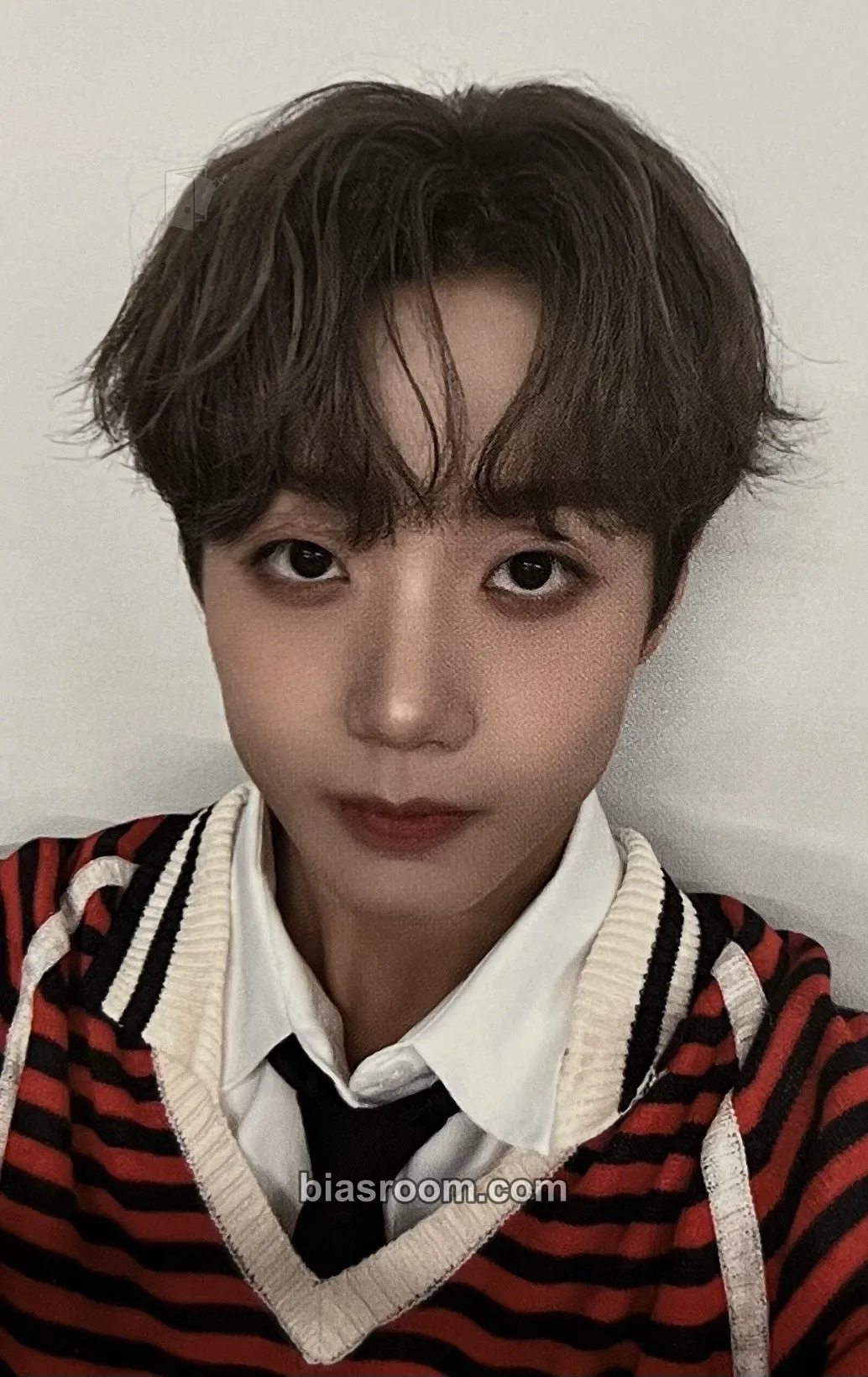 Havit On My Knees Photocard - TRENDZ - TRENDZ K-pop photocard