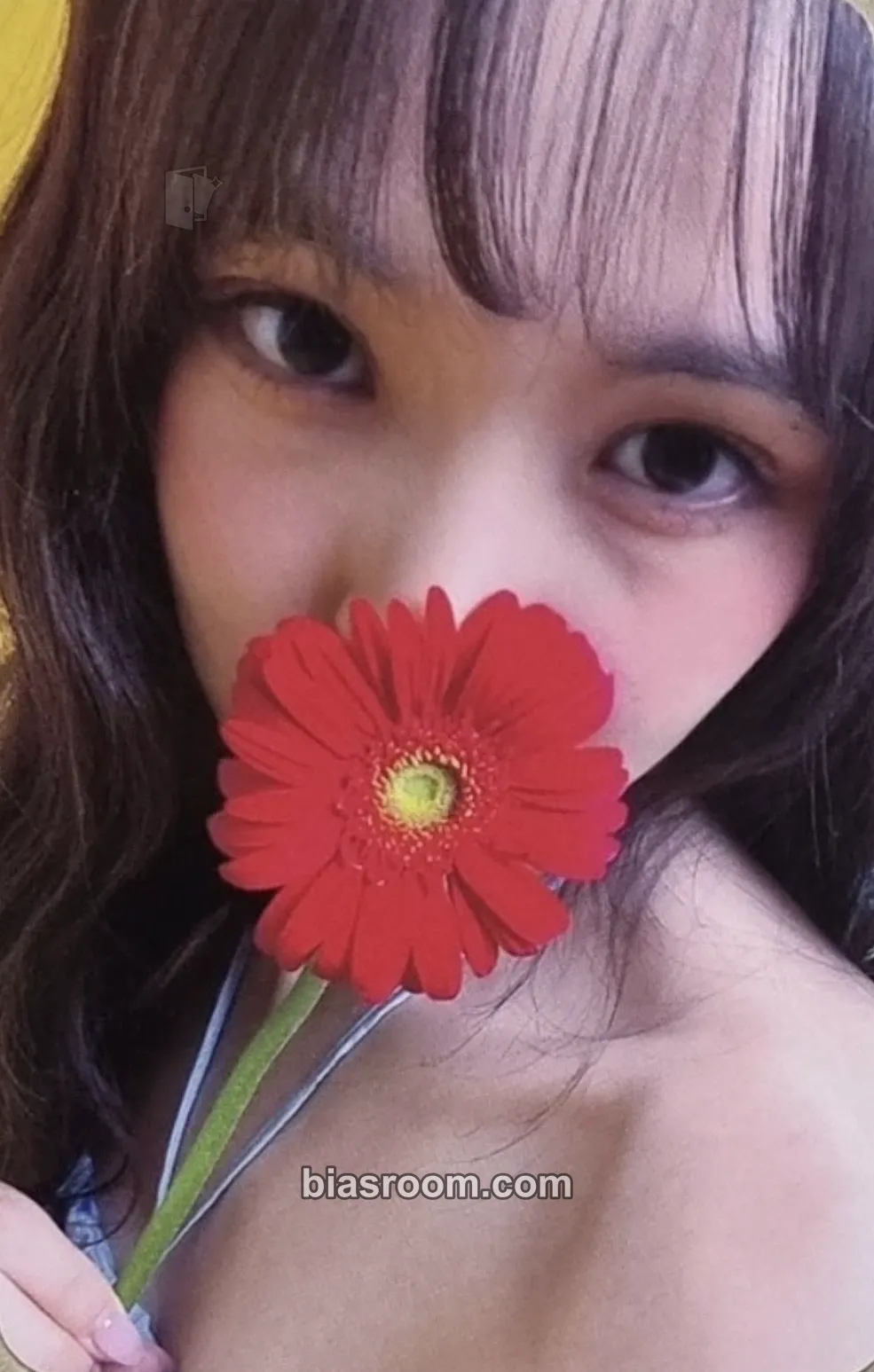 Yuju Yuju 2024 Season's Greetings - Fragrance of 2024 from Yuju Photocard - Yuju K-pop photocard