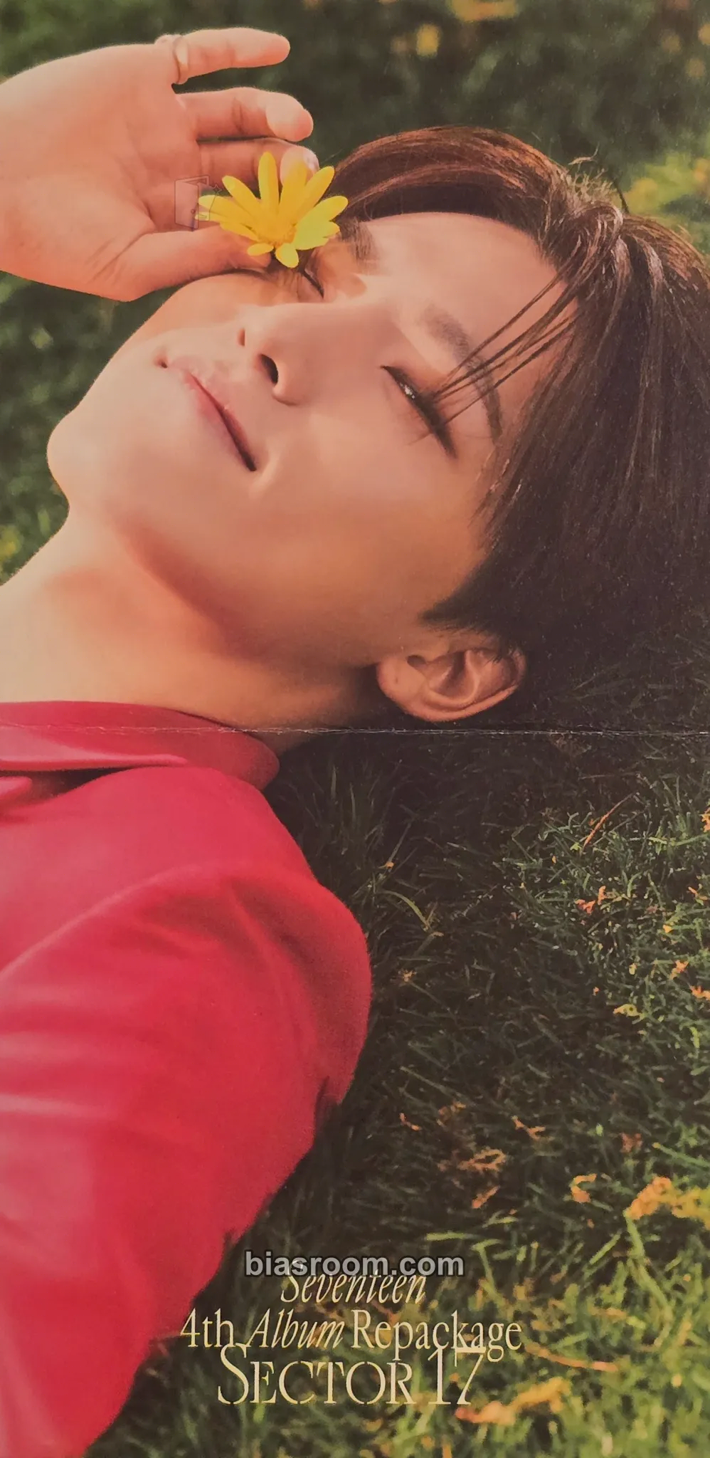 Dino SECTOR 17 Photocard - SEVENTEEN - SEVENTEEN K-pop photocard