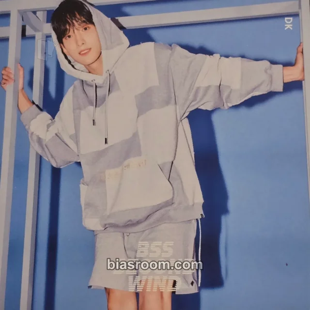 SEVENTEEN - DK - Second Wind Album sticker album inclusion special version