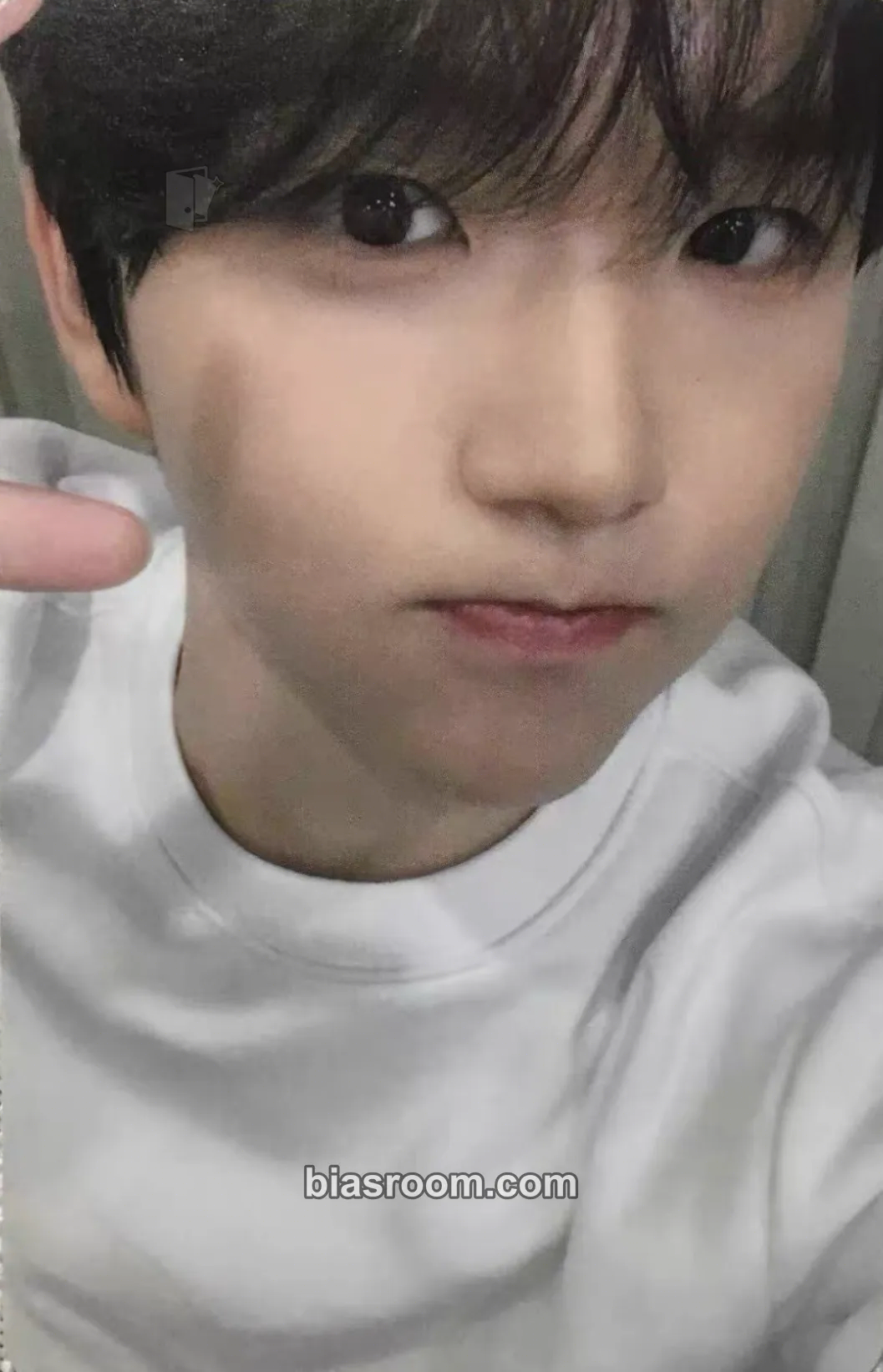 Jaehee Our 1st WISH 1st Anniversary Photocard - NCT WISH - NCT WISH K-pop photocard
