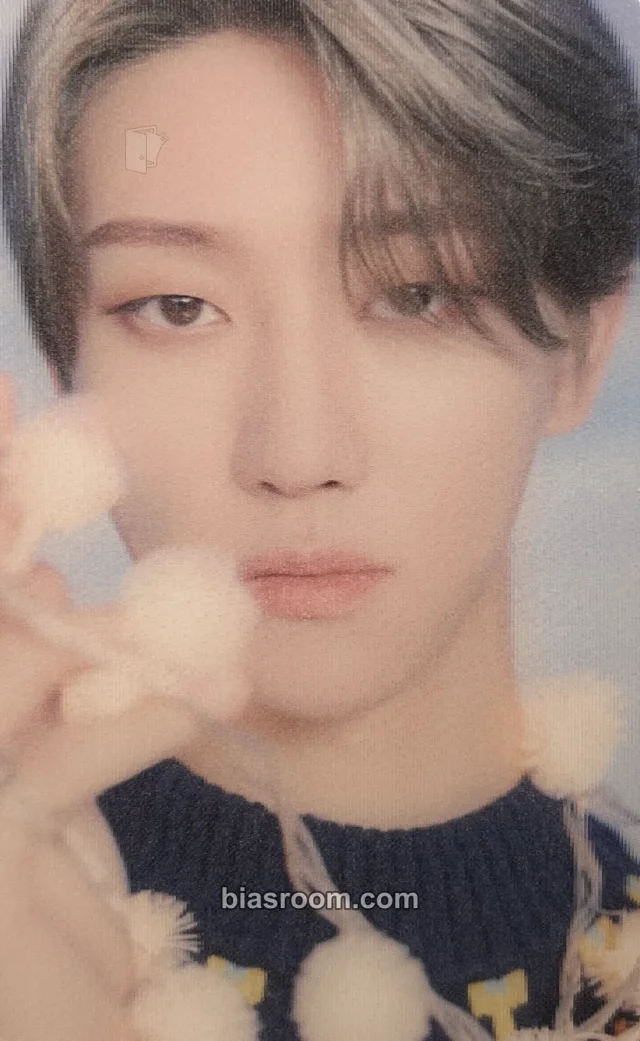 SEVENTEEN - The8 - DICON D’Festa Mini Edition Other dicon special card lenticular