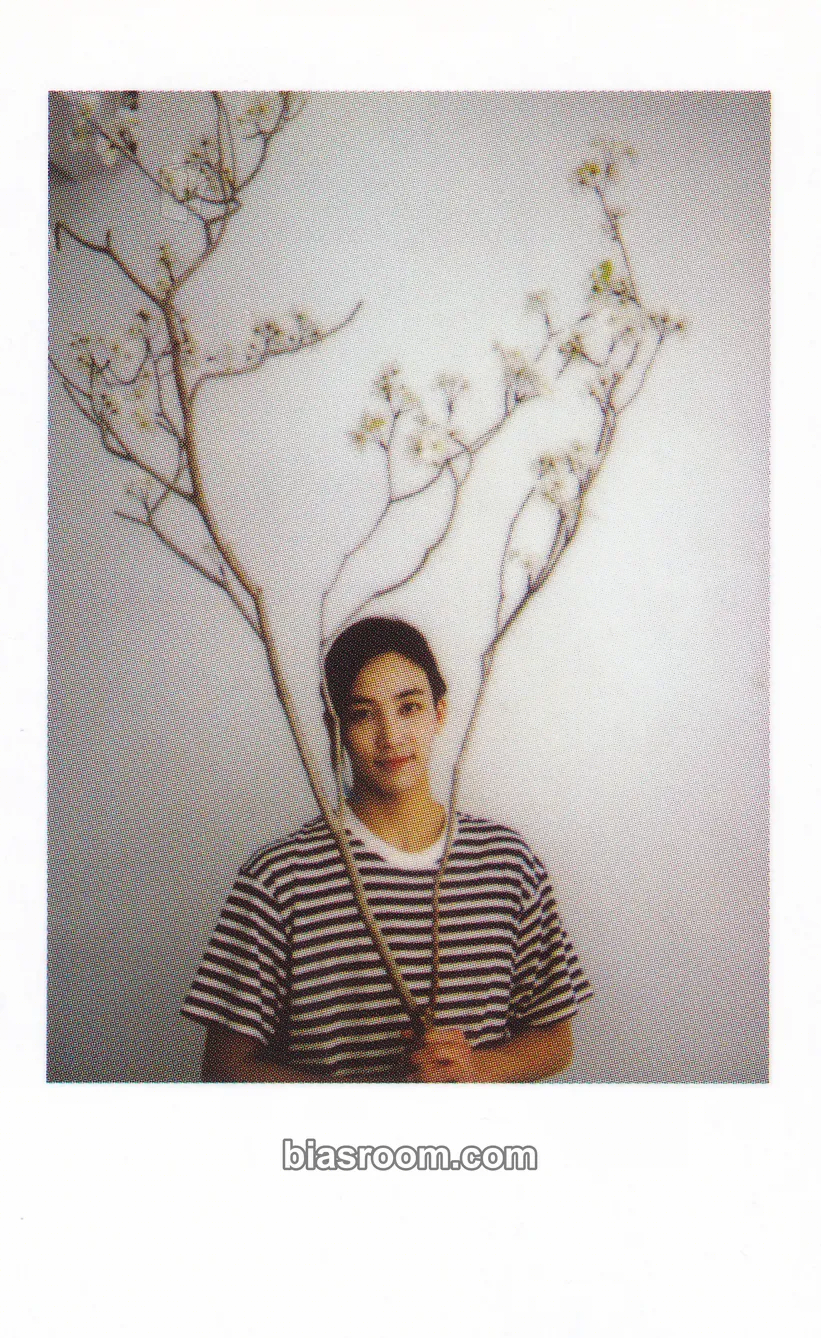 Jeonghan Power of Love Photocard - SEVENTEEN | Bias Room