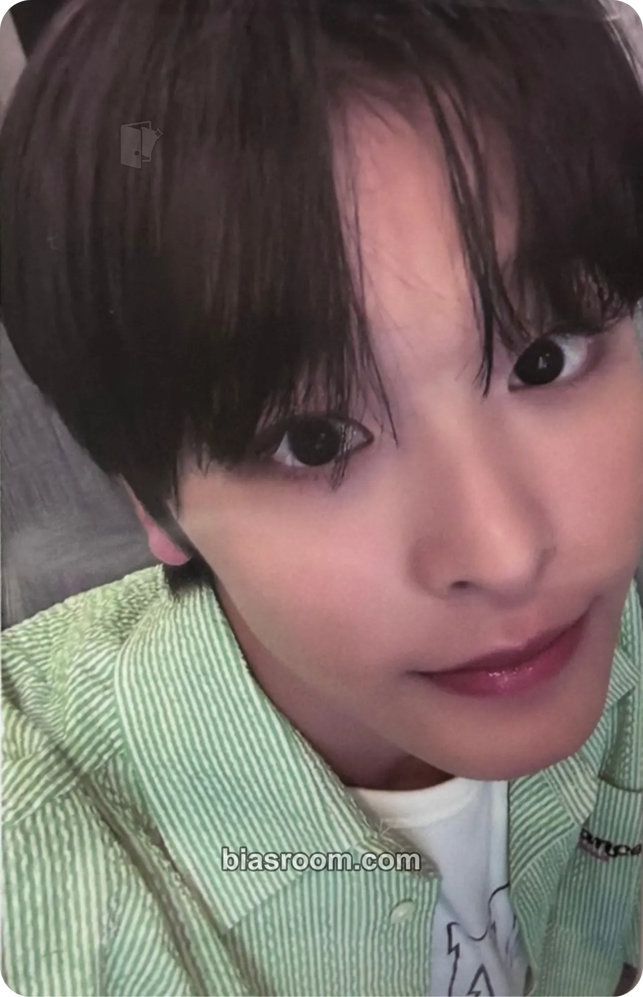 Riku Songbird Photocard - NCT WISH - NCT WISH K-pop photocard