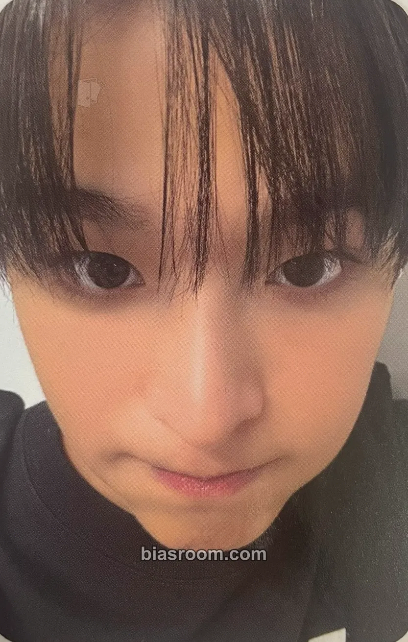 Riku Songbird Photocard - NCT WISH | Bias Room