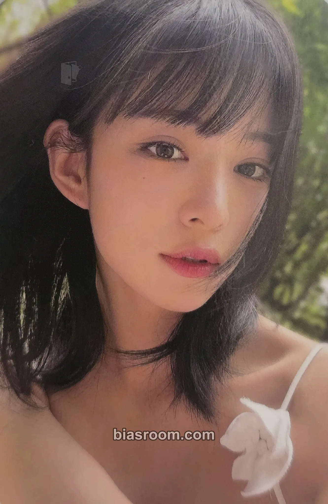Chaeyoung 2024 PHOTOBOOK <FROM SUMMER> Photocard - fromis_9 - fromis_9 K-pop photocard