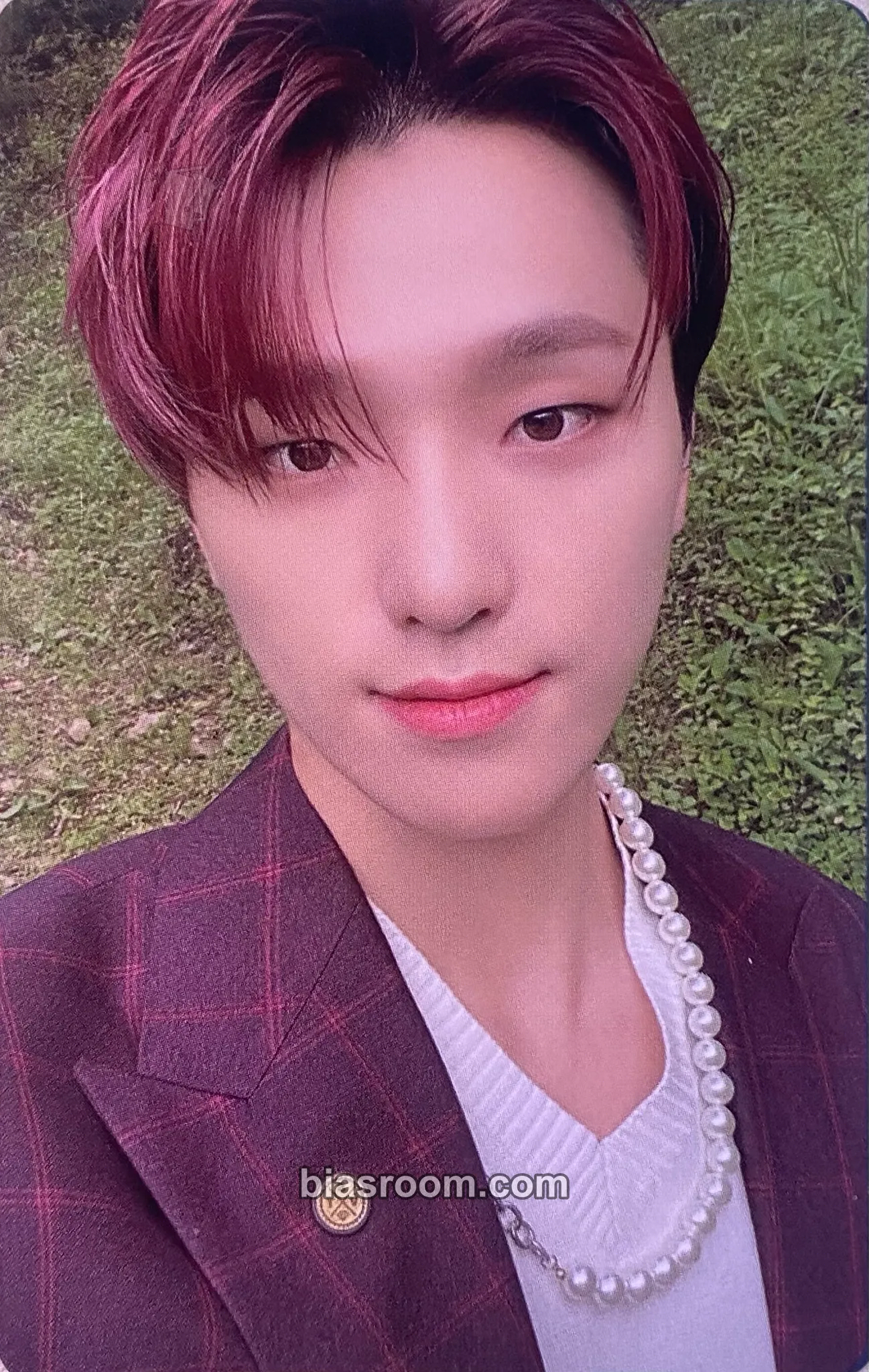 Dino Social Club : Carat Photobook Photocard - SEVENTEEN - SEVENTEEN K-pop photocard