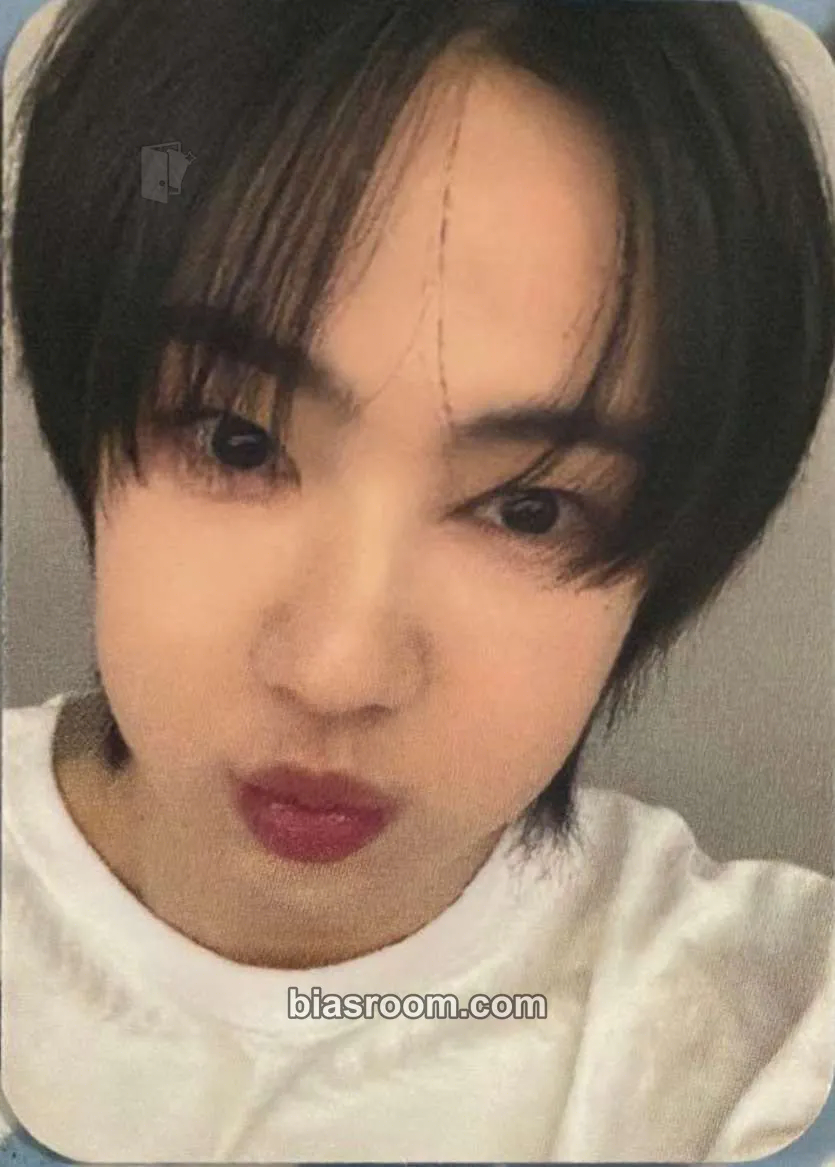 Arctic SET BY US ONLY Photocard - TUNEXX - TUNEXX K-pop photocard